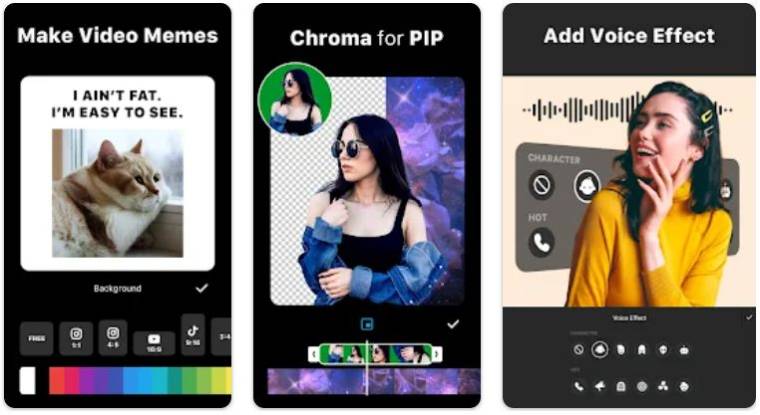 Inshot Mod APK