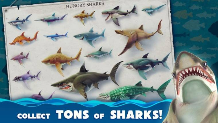 Hungry Shark Mod Apk