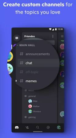 Discord Mod Apk