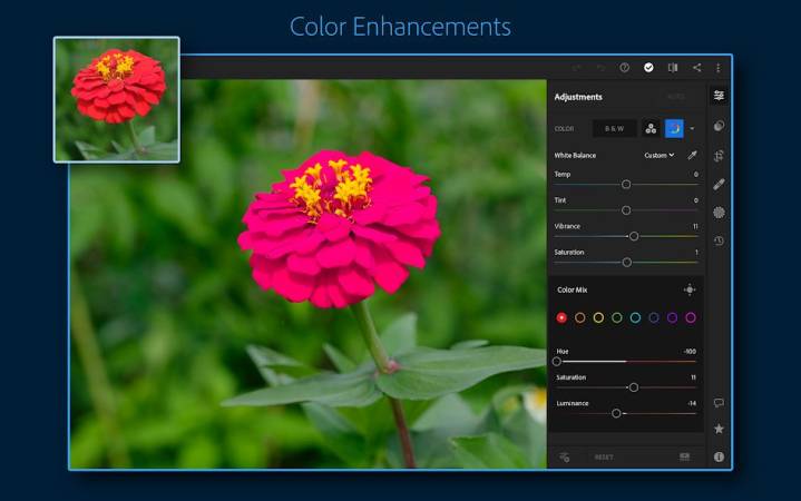 Lightroom Apk