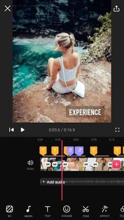 Video Editor Mod Apk